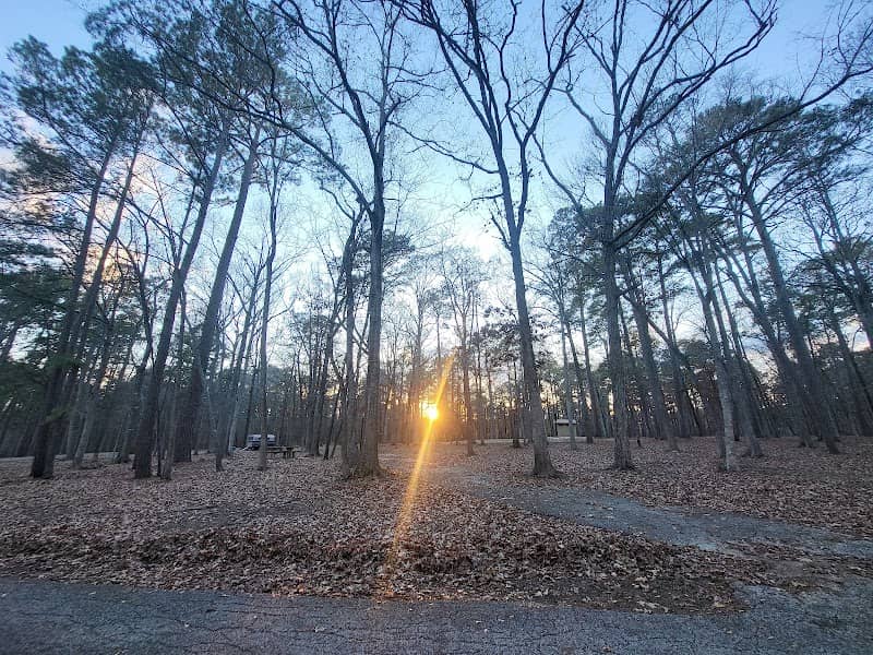 Indian Mounds Wilderness - Image 2