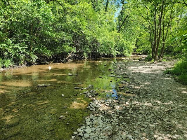 Magee Park - Image 2