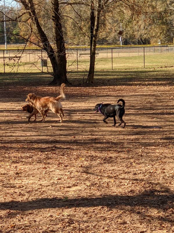 Nettles Dog Park - Image 2