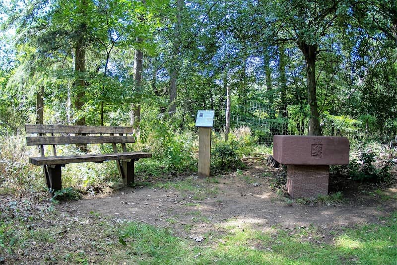 Der Vierherrentisch - Image 1