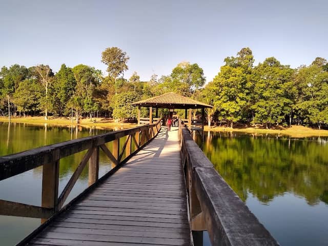Forest Park Sinop - Image 2