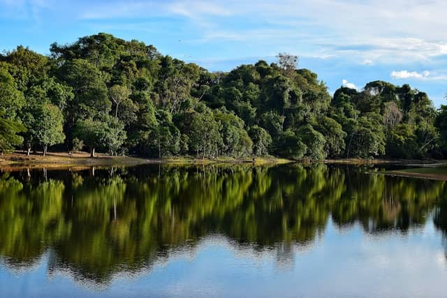 Forest Park Sinop - Image 1