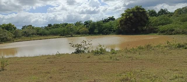Laguna Mar Caribe - Image 1