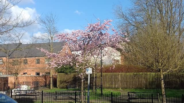 Arthur's Garden - Image 1