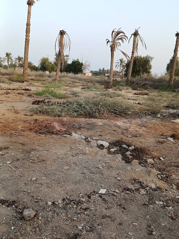 مزرعة الفاضل عبدالله بن حميد المنوري - Image 1
