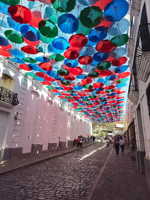 Los paraguas Down town caracas - Image 1