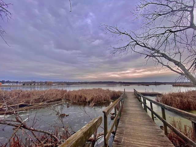 Lions Park - Image 2