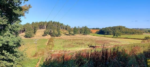 Gawburrow Hill - Image 1