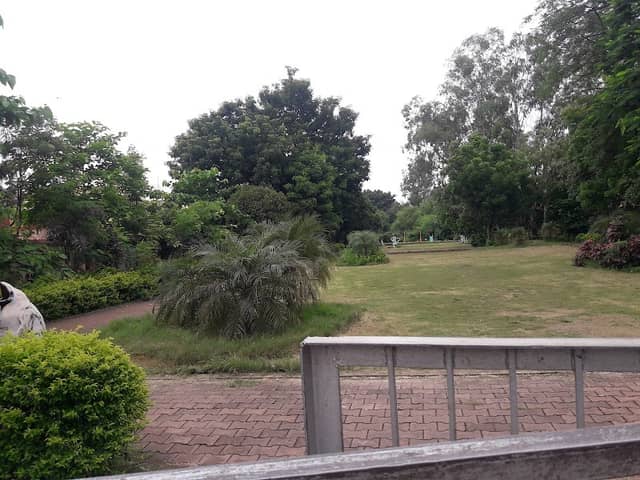 Pari garden - Image 1