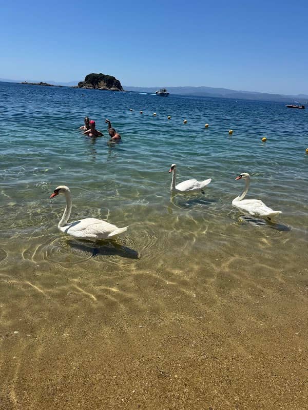Troulos Beach - Image 1