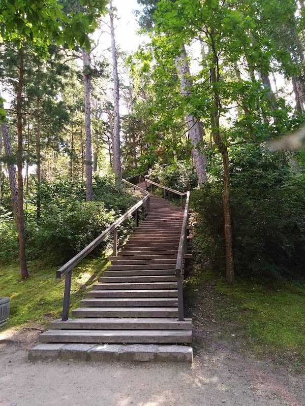 Birutė Hill - Image 2