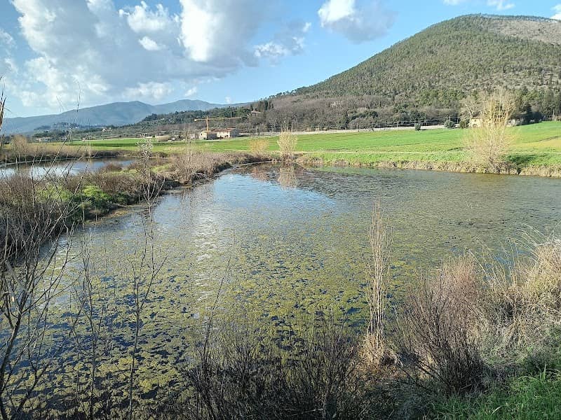 Lago Bardena - Image 2