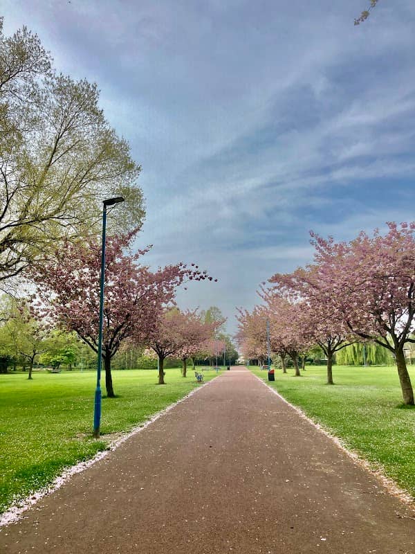 Pallister Park - Image 1