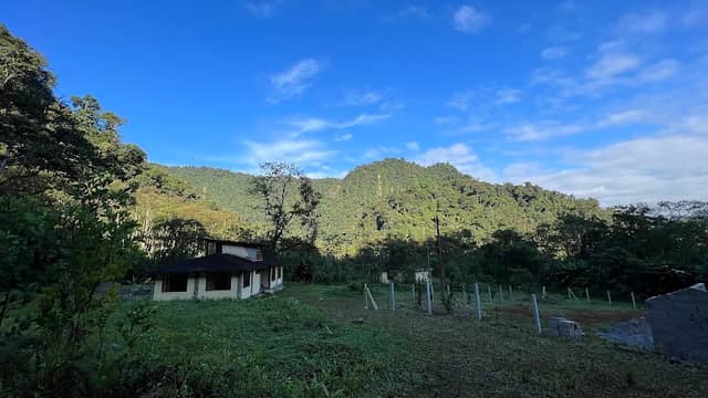 PURA VIDA I - Image 1