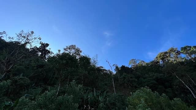 PURA VIDA I - Image 3