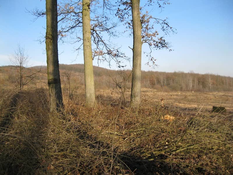Park "Dubky" - Image 1