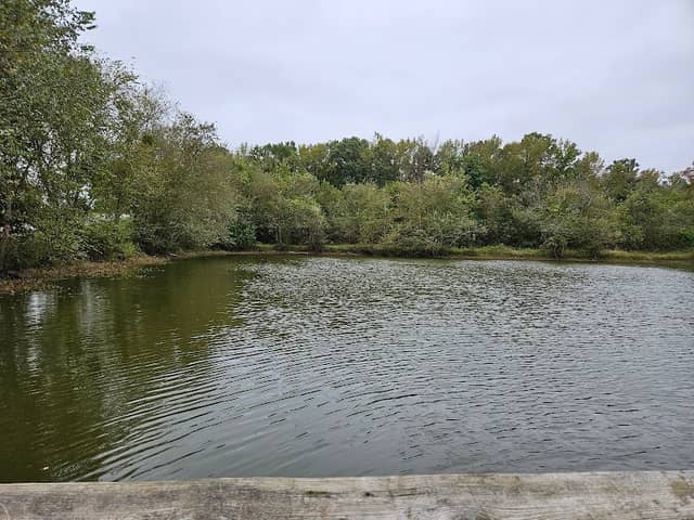 Kinston public ponds - Image 2