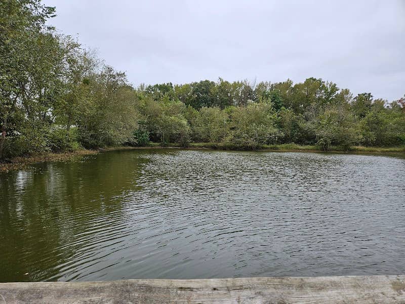 Kinston public ponds - Image 2