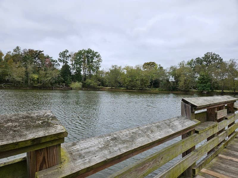 Kinston public ponds - Image 1