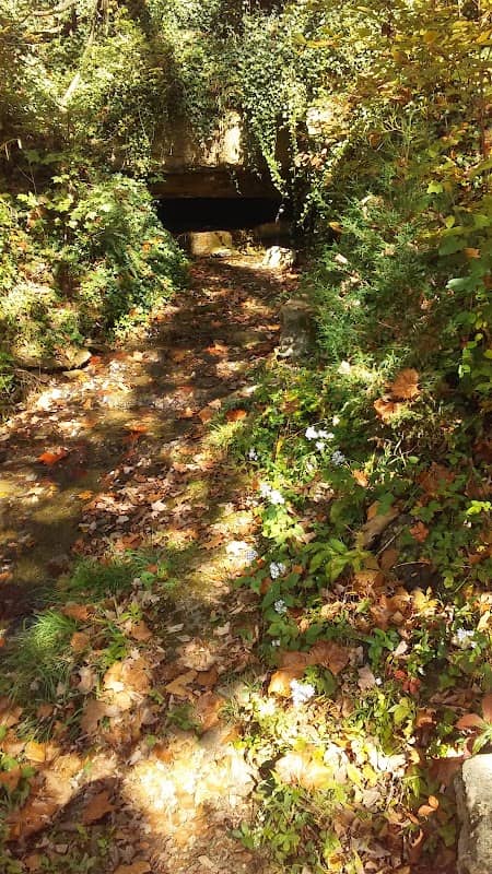 Shopville Community Park - Image 1