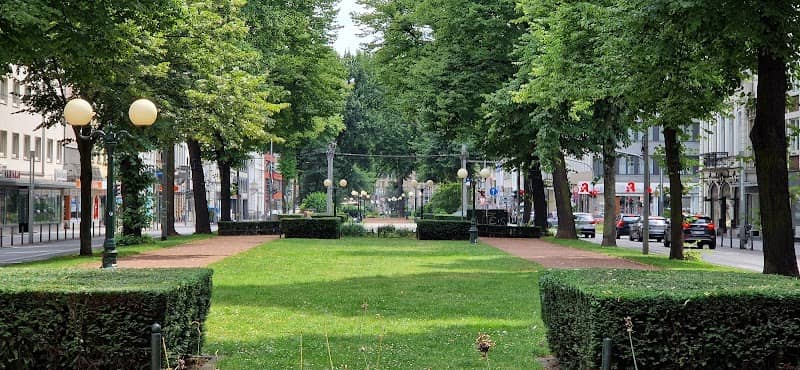 Linsenallee - Image 1