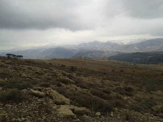 Ain Zaarour - Image 2
