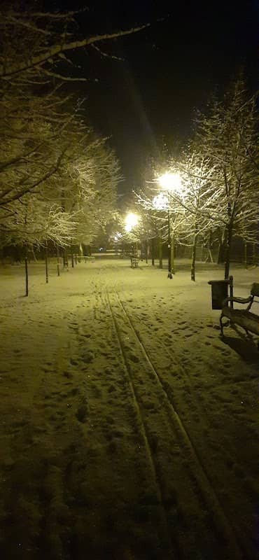 Központi Park - Image 1