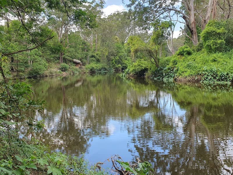 Great North Walk - Lane Cove National Park - Image 2