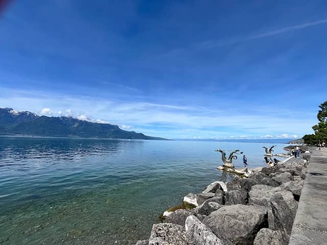 Jardin du Rivage - Image 2