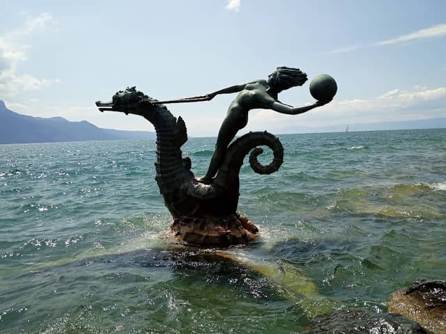 Jardin du Rivage - Image 1