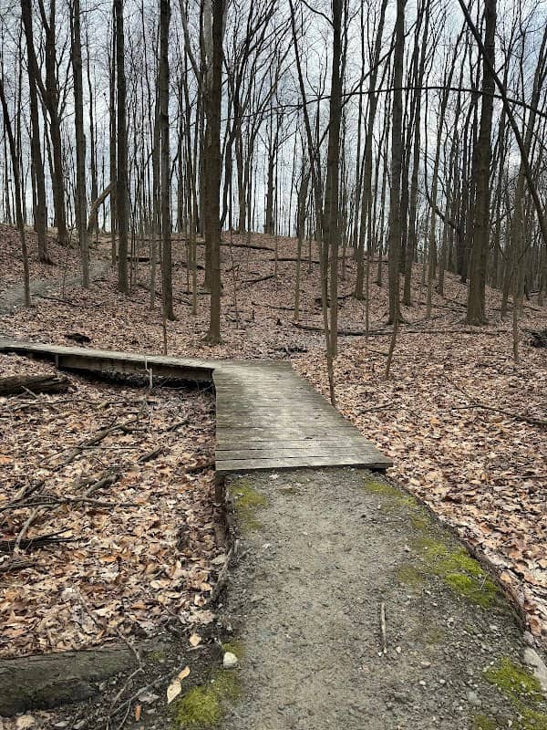 Forbes Woods Picnic Area - Image 1