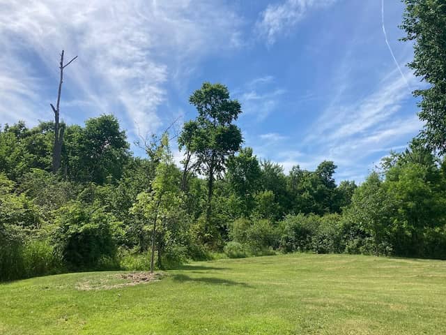 Forbes Woods Picnic Area - Image 2