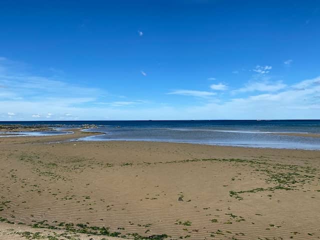 Point Cook Coastal Park (Parks Victoria) - Image 3