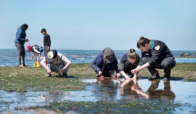 Point Cook Coastal Park (Parks Victoria) - Image 1