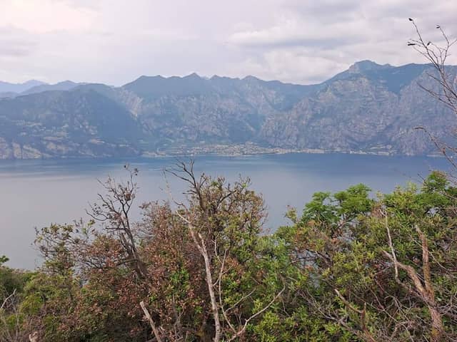 Punto Panoramico - Image 1