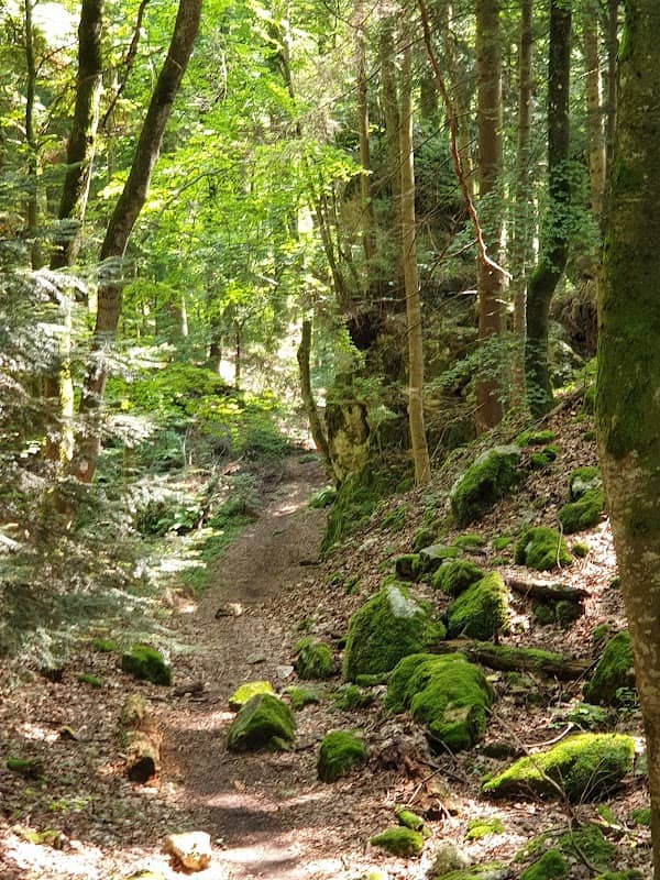 Felsenmeer Albstadt - Image 1