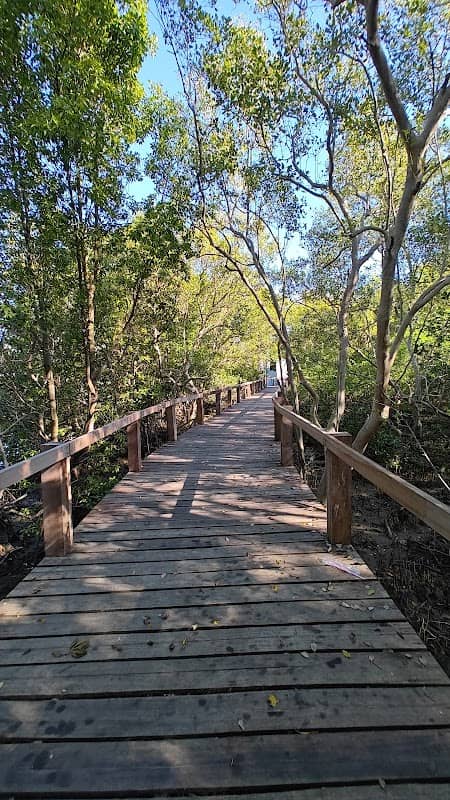 Bakawan Boardwalk of Biday, City of San Fernando, La Union - Image 2