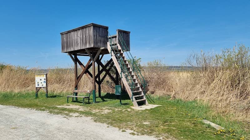 Aussichtsturm - Image 1