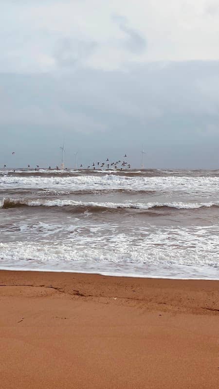 Blackdog Beach - Image 1