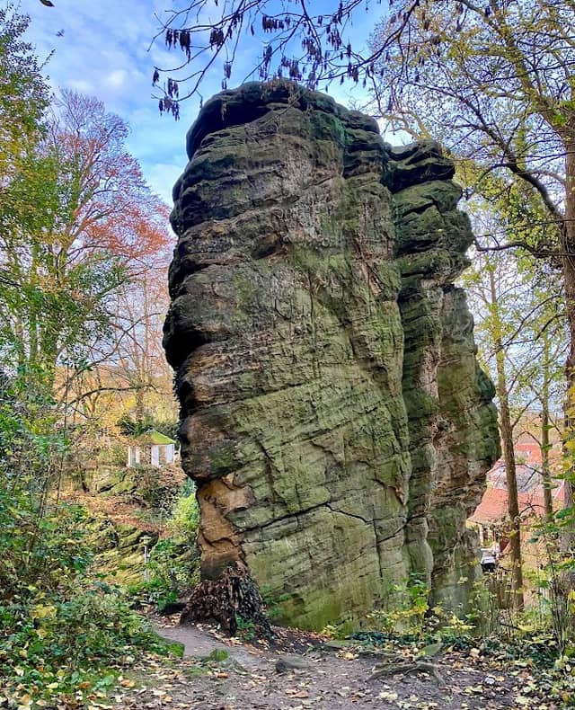 Devil's Ear-Cushion - Image 1