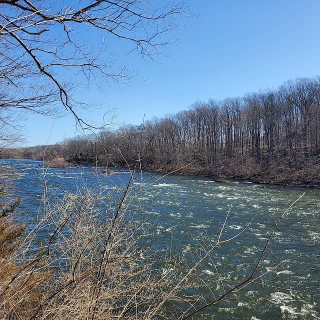 Pequest Wildlife Management Trail - Image 2