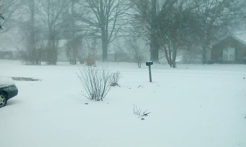 Mary Ann Carter Park - Image 3