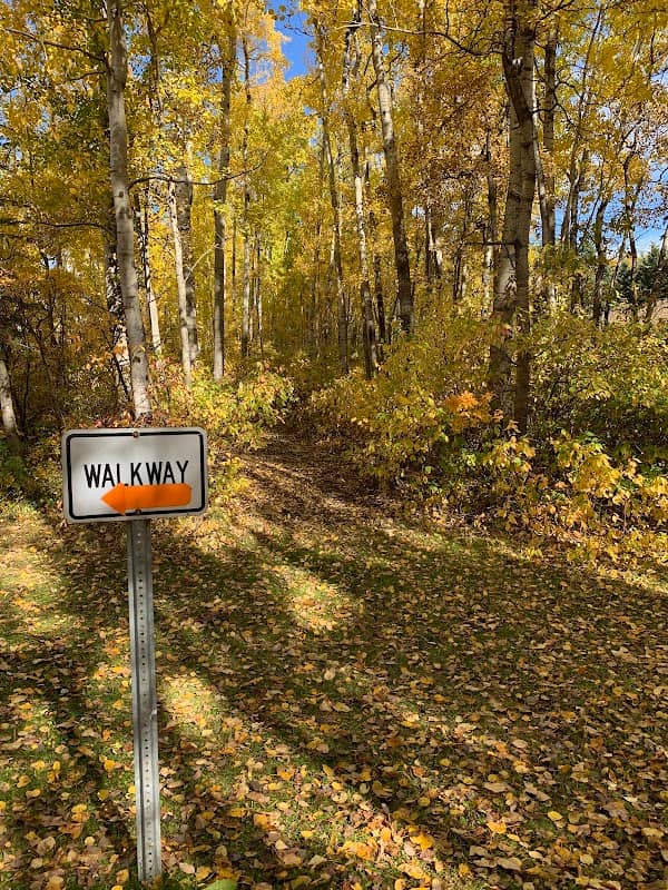 Whitegull Trails - Image 2