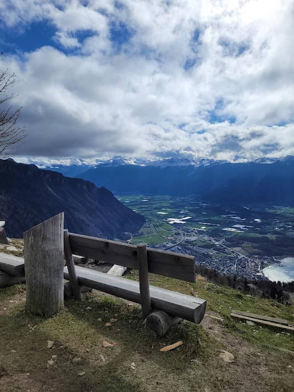Viewpoint - Image 1