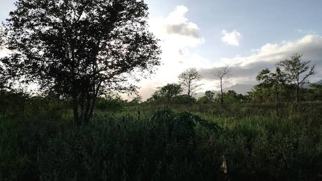Captain's Q Farm - Image 1