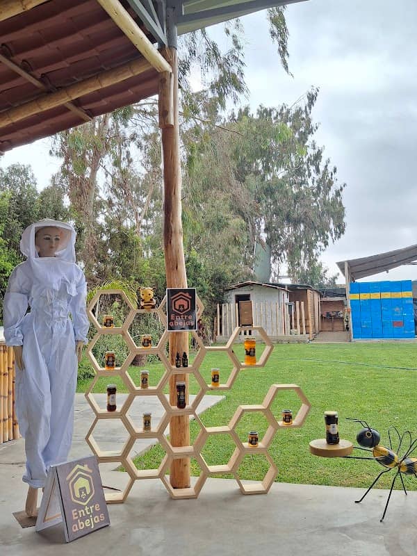 ENTRE ABEJAS - Image 1