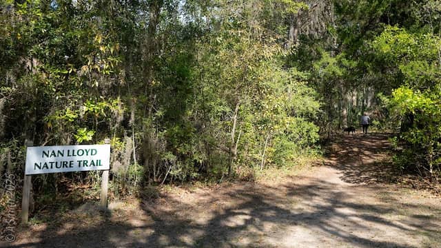 Nan Lloyd Nature Trail - Image 3