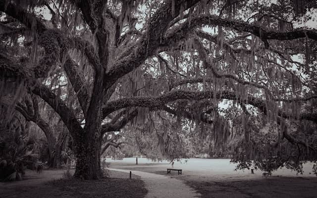 Nan Lloyd Nature Trail - Image 1