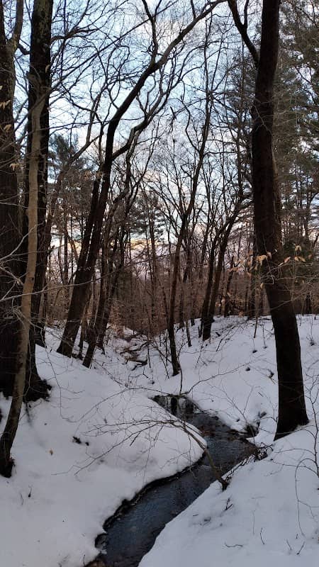 Camp Titicut - Image 1