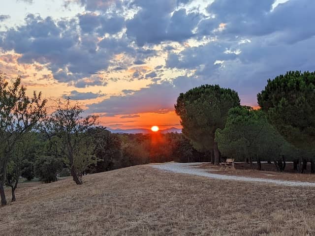 La Forêt - Image 1